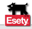 ESETY logo.jpeg